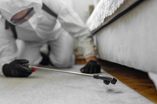 Professional Pest Control technician working in Dunlap, IL