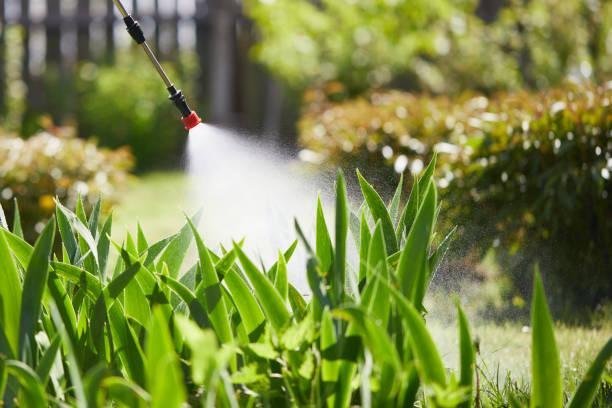 24/7 Emergency Pest Control experts in Dunlap, IL